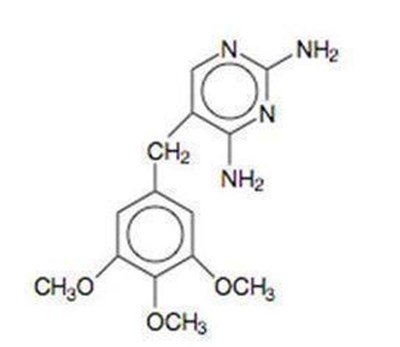 Image Description (Module 2)